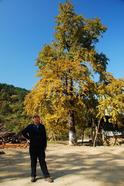 nEO_IMG_DSC_2586.jpg