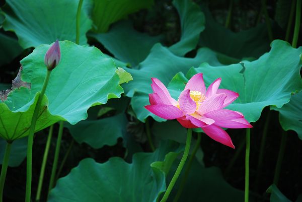 nEO_IMG_DSC_0053.jpg