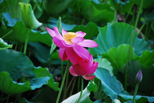nEO_IMG_DSC_0085.jpg