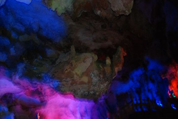nEO_IMG_nEO_IMG_DSC_0989.jpg