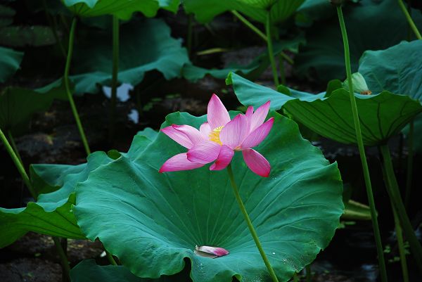 nEO_IMG_DSC_0129.jpg