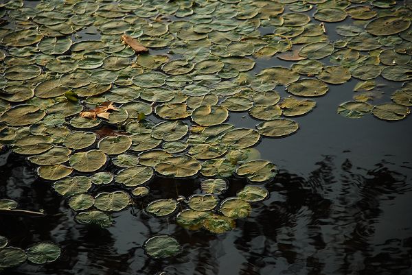 nEO_IMG_DSC_2421.jpg