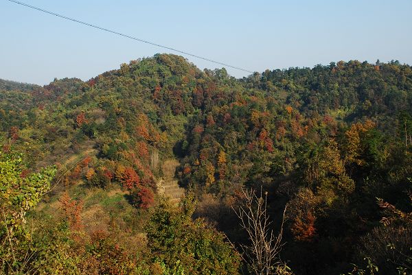 nEO_IMG_DSC_2731.jpg