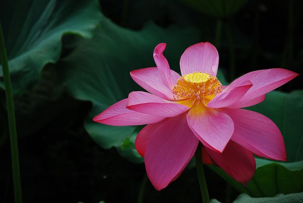 nEO_IMG_DSC_0219.jpg