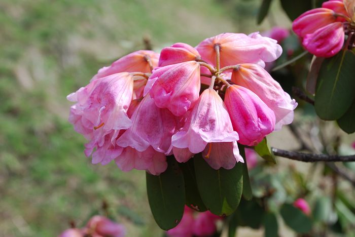nEO_IMG_DSC_0086.jpg