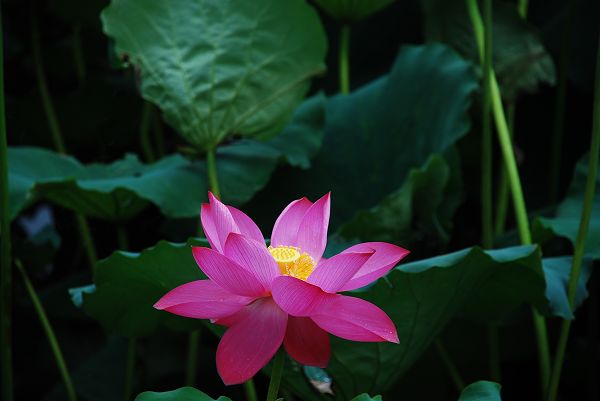 nEO_IMG_DSC_0134.jpg