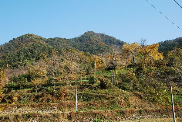 nEO_IMG_DSC_2606.jpg