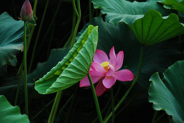 nEO_IMG_DSC_0222.jpg