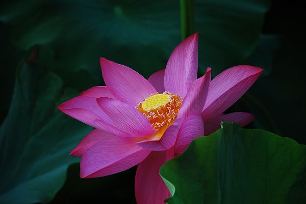 nEO_IMG_DSC_0152.jpg