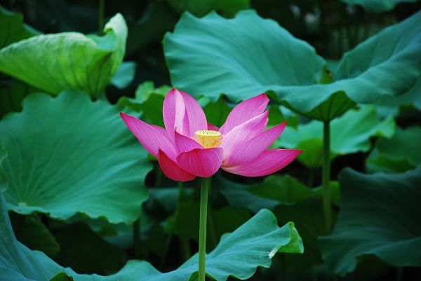 nEO_IMG_DSC_0048.jpg