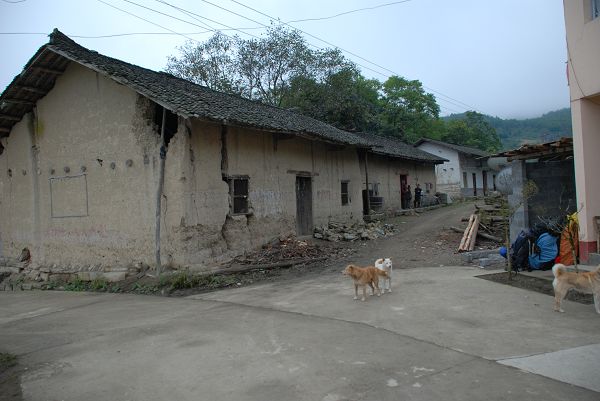 nEO_IMG_DSC_0251.jpg