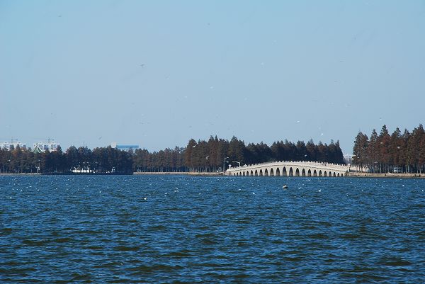 nEO_IMG_DSC_2858.jpg