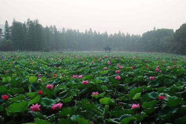 nEO_IMG_DSC_0191.jpg