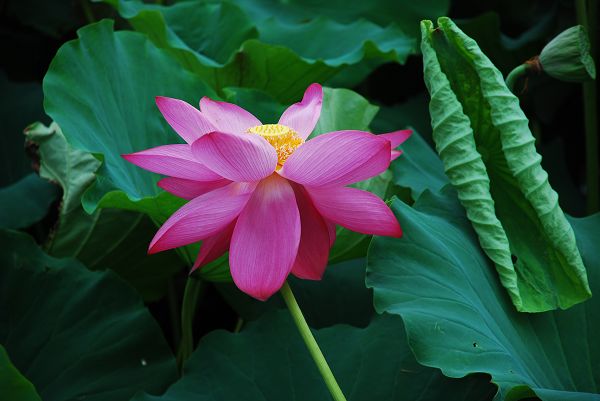 nEO_IMG_DSC_0080.jpg