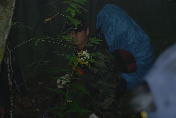 nEO_IMG_DSC_0108.jpg
