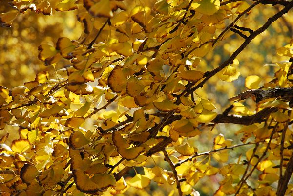 nEO_IMG_DSC_2691.jpg