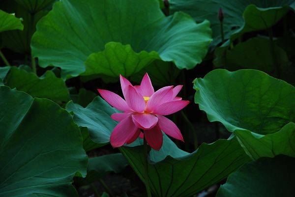 nEO_IMG_DSC_0120.jpg