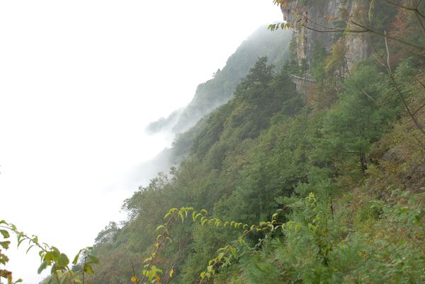 nEO_IMG_DSC_0068.jpg