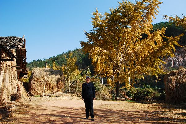 nEO_IMG_DSC_2553.jpg