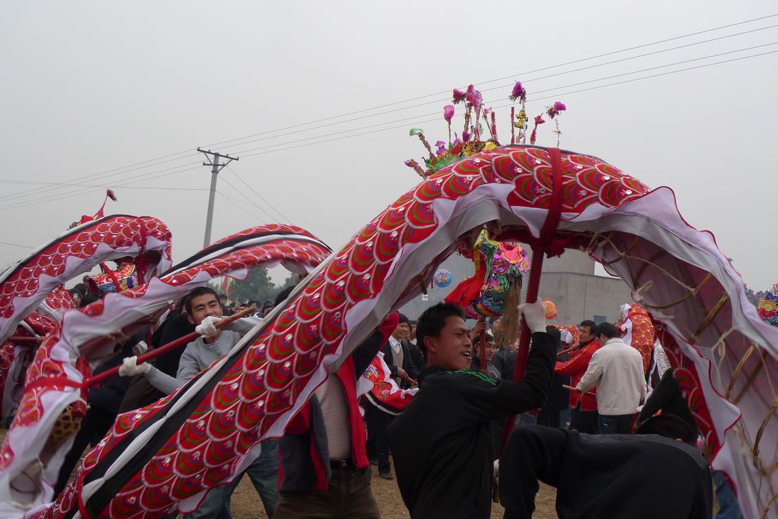 P1000419.JPG