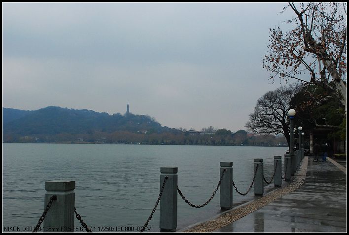 DSC_8130_nEO_IMG.jpg