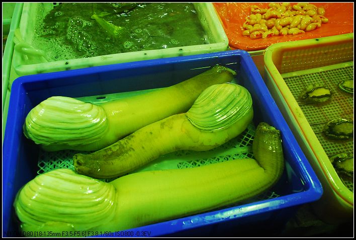 DSC_9518_nEO_IMG.jpg