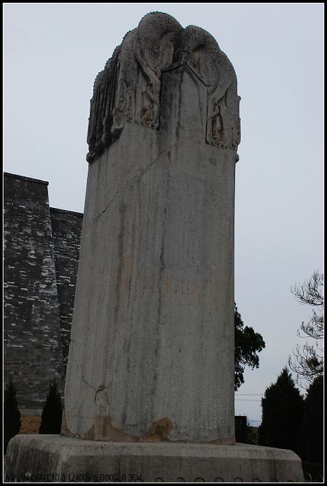 DSC_0305_nEO_IMG.jpg