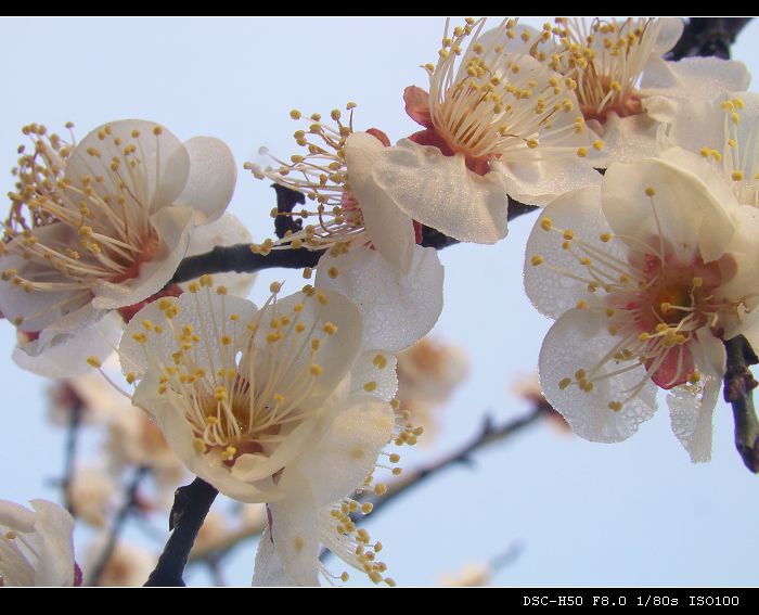 DSC04053.jpg