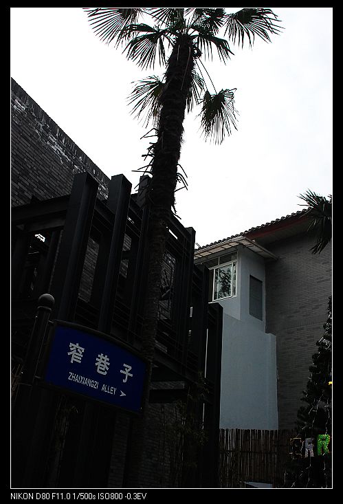 nEO_IMG_DSC_2518.jpg