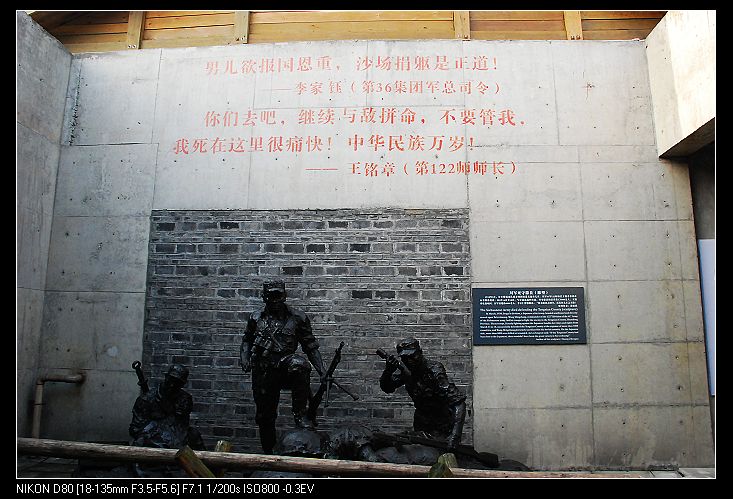 nEO_IMG_DSC_3334.jpg