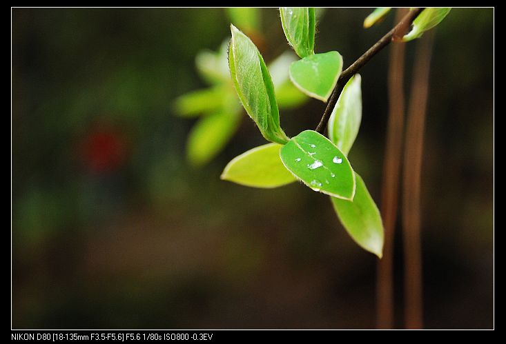 nEO_IMG_DSC_3825.jpg