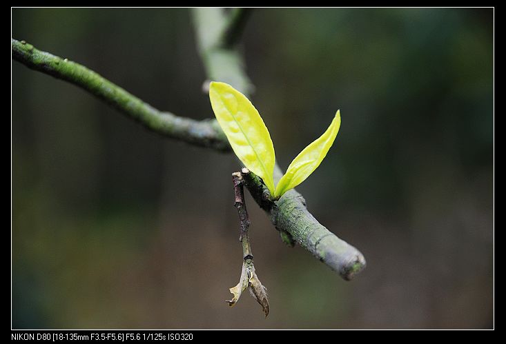 nEO_IMG_DSC_3854.jpg