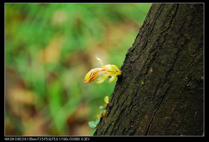 nEO_IMG_DSC_3832.jpg