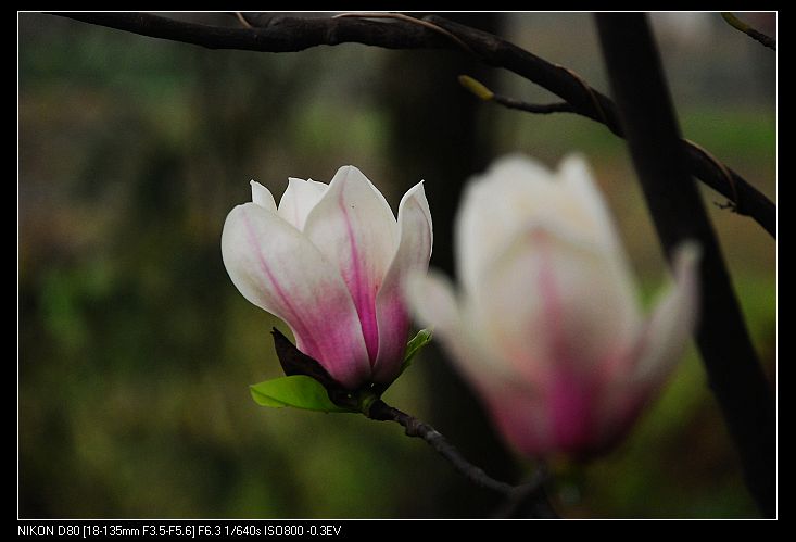 nEO_IMG_DSC_3835.jpg
