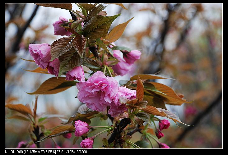nEO_IMG_DSC_3847.jpg
