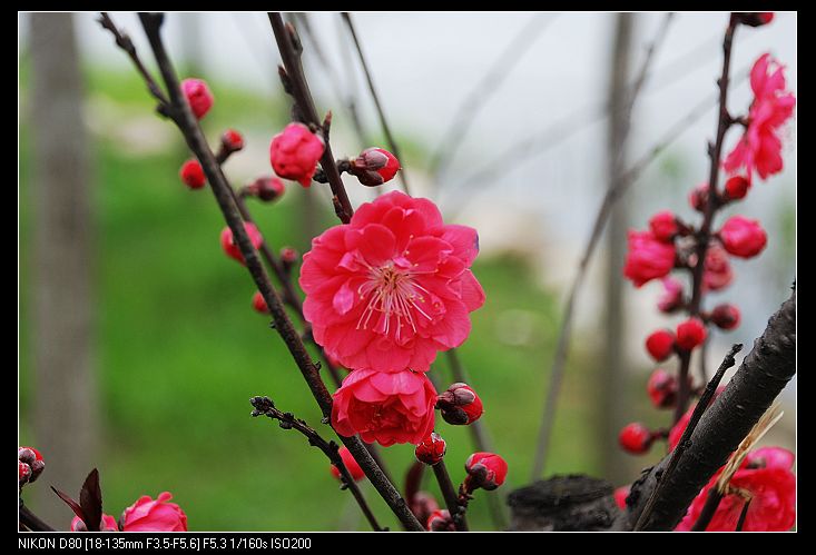 nEO_IMG_DSC_3863.jpg