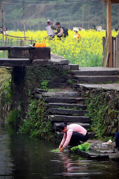 06.JPG