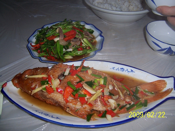 100_7089.jpg