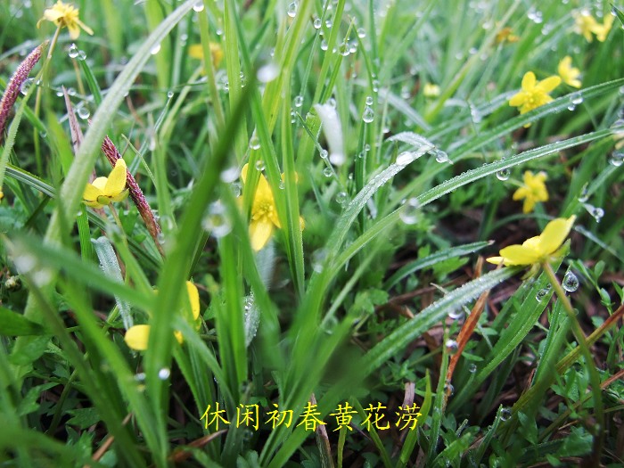 DSCF7619.jpg