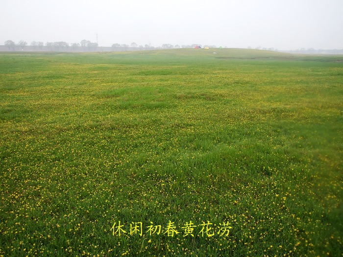 DSCF7621.jpg