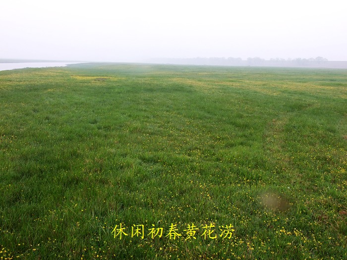 DSCF7605.jpg
