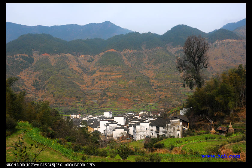 DSC_0402.jpg