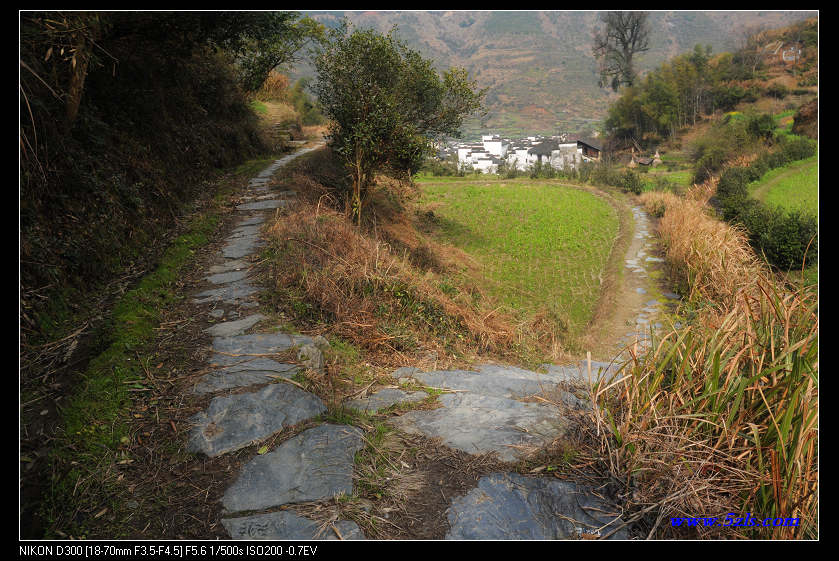 DSC_0403.jpg