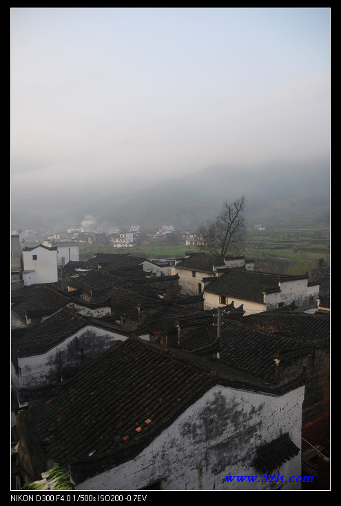 DSC_0448.jpg
