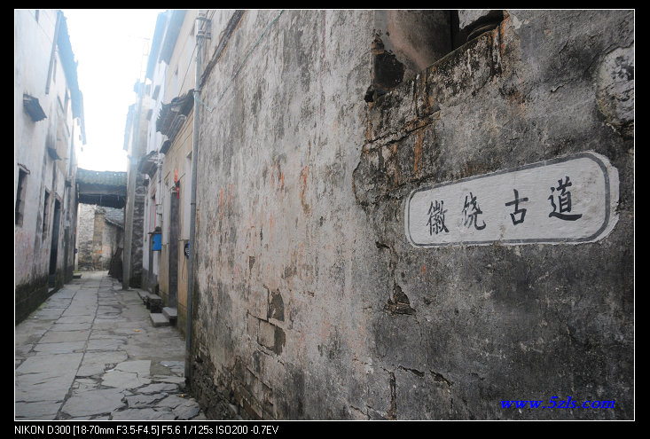 DSC_0372.jpg
