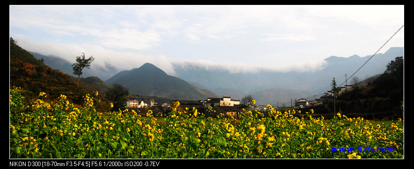 DSC_0384.jpg