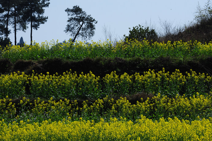 DSC_1049.jpg