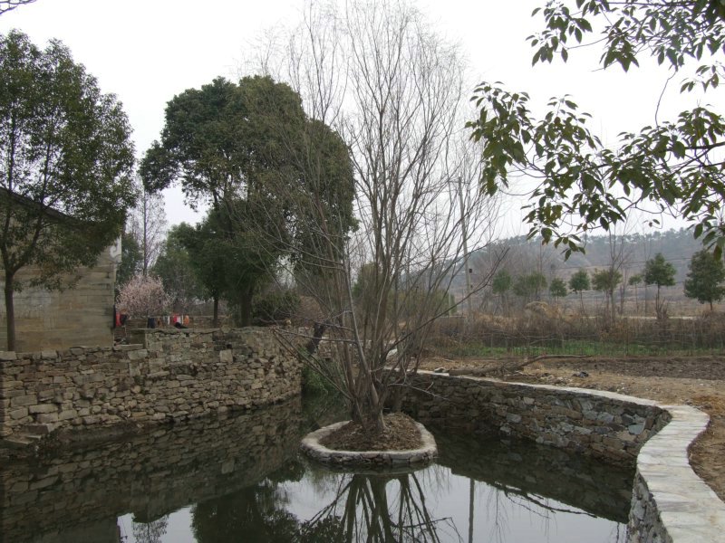 DSCF4912.jpg