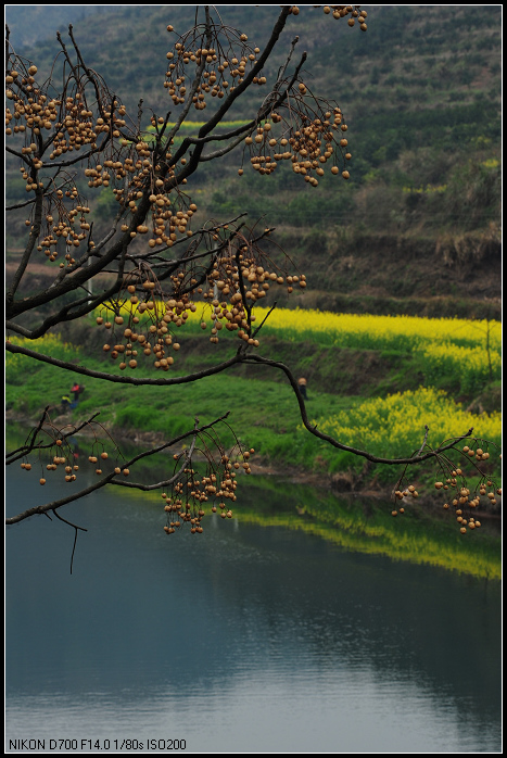 DSC_1167.jpg