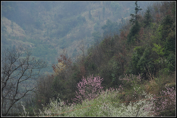 DSC_1157.jpg